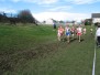 2007: Irish Schools Cross Country Championships